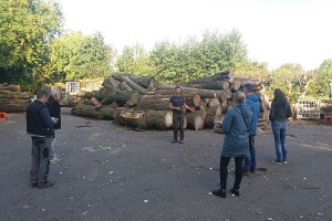 Verkenning stadshout Dordrecht