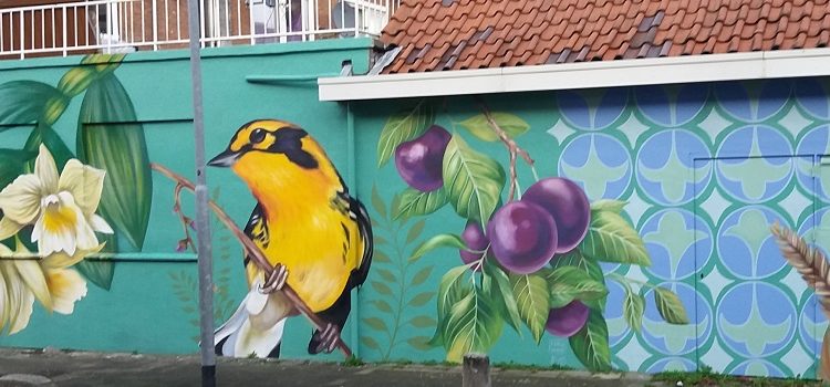 Fotoverslag Vogelkunst voor Vogelplein